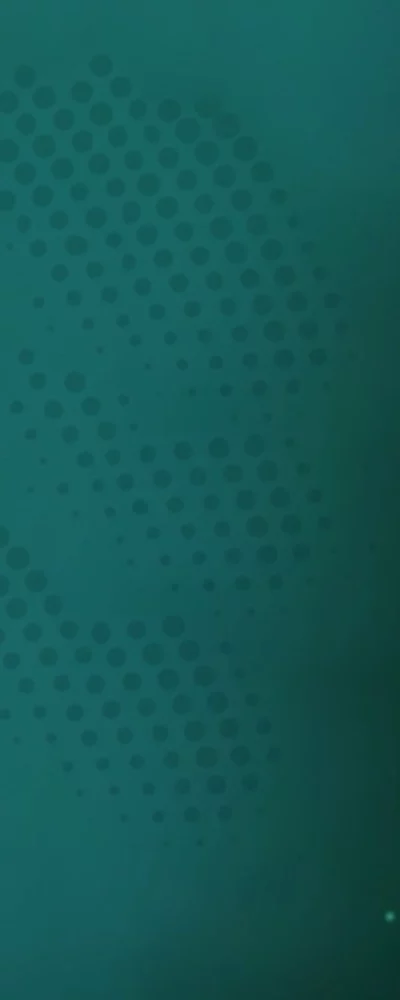 Job Background 2